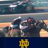 tonyolivas993 - @tonyolivas993 - TikTok