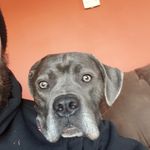 Tony Olson - @tolson_87 - Instagram