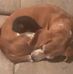 Tony Olson - Facebook