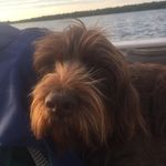Tony Olson - @tony.olson.55 - Instagram