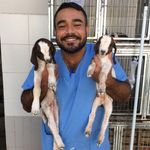 Tony Pacheco - @tonnypachecco - Instagram