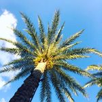 Tony Pack - @tee_pack - Instagram