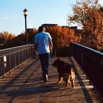 Anthony Pellerin - @dmtony82 - Instagram