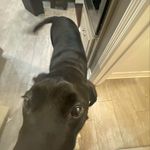 Tony Perdue - @tonyperdue66 - Instagram