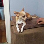 Tony Perdue - @tonyb1172 - Instagram
