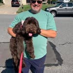 Tony Perri - @tony.perri.3 - Instagram