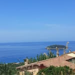 Tony Pesce - @antonio.pesce.96995 - Instagram