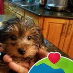 Tony Phipps - @thomas.phipps.7 - Instagram
