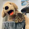 poortony12138 - @poortony12138 - TikTok