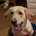 Tony Pullen - @tonypullenn - Instagram