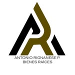 Antonio Rignanese P. - @tonyrealbiz - Instagram