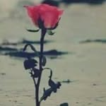 Tony. Reda .yui - @tony.reda.rt55 - Instagram