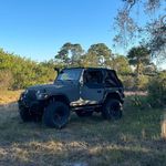 Tony Ring - @wile.e.coyote.4 - Instagram