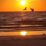 Tony Ritter - @moondawg714 - Instagram