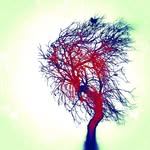 Tony Robinson - @tonyrobinson6767 - Instagram