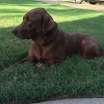 Tony Roby - @tony.roby.1804 - Instagram