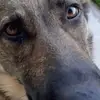 tony robyy - @tony.robyy - TikTok