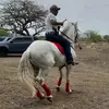 TonyRománs - @bever_and2012 - TikTok