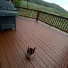 Tony Roque - @tony.roque3 - TikTok