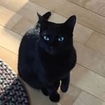 Tonya Rutkowski - @tonyarutkowski - Instagram