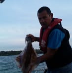 Tony Scaffidi - Facebook