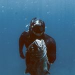 Tony Sedillo - @tonysed_ - Instagram