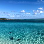 Tony Serio - @islandguy364 - Instagram