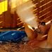 Tony Sgroi - Facebook
