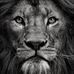 Tony Sgroi - Facebook
