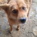 Tony Sharp - Facebook