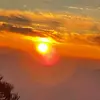 tonyashears - @user6122714690004 - TikTok