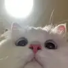 tonyashears - @user2279565478182 - TikTok