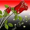 Tonyshipley24 - @tonyshipley24 - TikTok