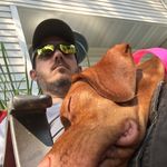 Tony Smithson - @gemstone_vizslas - Instagram