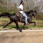 Tony Spears - @_milliondollardream_ - Instagram