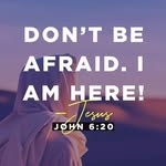 Tony Springer - @tony.springer.739 - Instagram