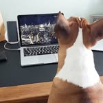 Tony stack - @tonystack00 - Instagram