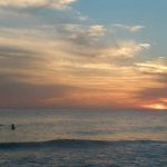 Tony P Toth - @tothant1971 - Instagram