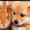 tonyatotten652 - @tonyatotten652 - TikTok