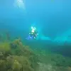 tonytownsend25 - @tonytownsend25 - TikTok