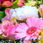 @tony__truman - Instagram
