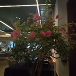 Tony Truman - @trumantony47 - Instagram