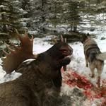 jägarn - @tony.vesterberg77 - Instagram