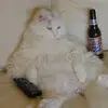 tony vickers - @tony.vickers43 - TikTok