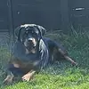 Tony Wade - @tony.wade5 - TikTok