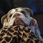 Tony Wakefield - @tony.wakefield.14 - Instagram