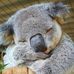 Tony Webster - Facebook