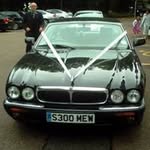 Tony Weir - @jaguarman.tw - Instagram