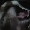 willi.mi - @willie.tony - TikTok