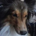 Tonya Adkins - @tonya3733 - Instagram